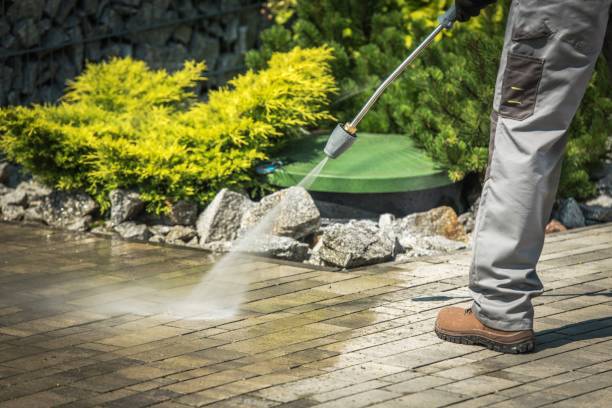 Best House Exterior Washing  in Borger, TX