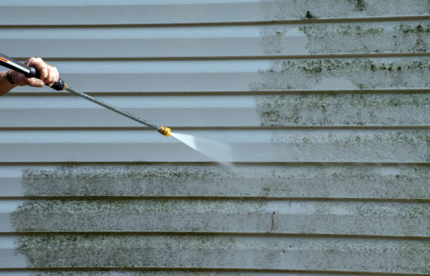 Best Sidewalk and Walkway Cleaning  in Borger, TX
